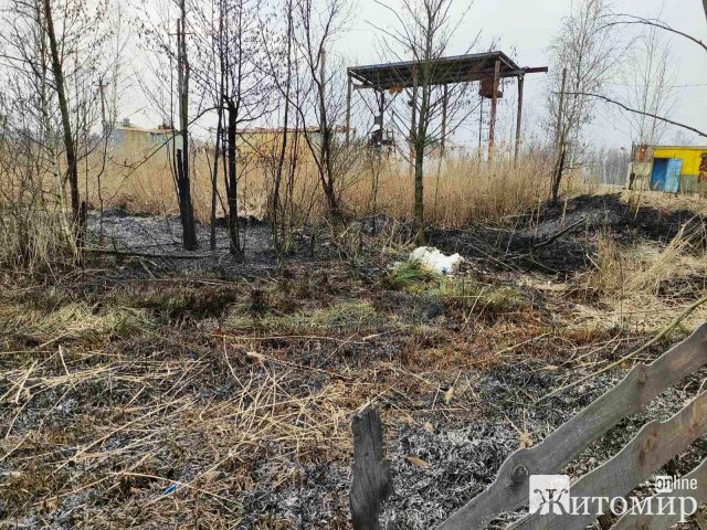 У Коростенському районі селяни гасили займання сухої трави. ФОТО У Коростенському районі селяни гасили займання сухої трави. ФОТО