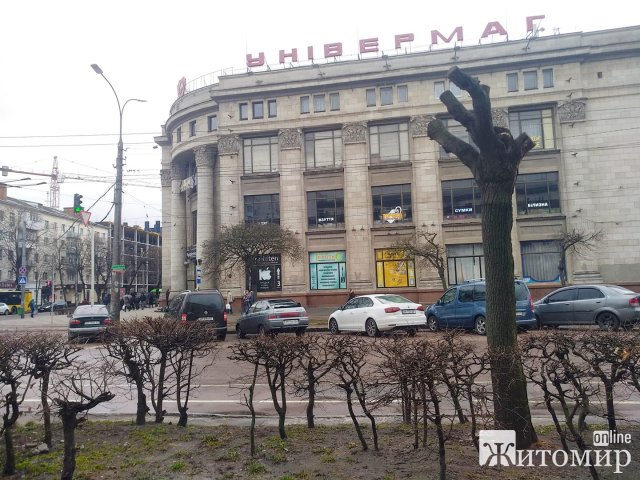 Геноцид дерев у Житомирі. ФОТО Геноцид дерев у Житомирі. ФОТО