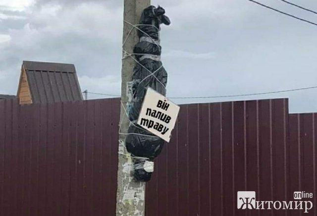Рятувальники Житомирщини наголошують: палії сухостою притягуються до відповідальності Рятувальники Житомирщини наголошують: палії сухостою притягуються до відповідальності