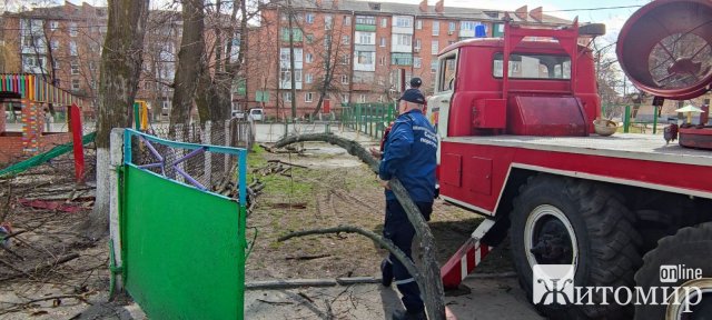 Мер Радомишля попросив рятувальників зрізати аварійні дерева на території навчальних закладів. ФОТО Мер Радомишля попросив рятувальників зрізати аварійні дерева на території навчальних закладів. ФОТО