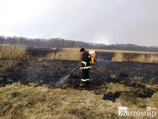 У Любарському районі горіла суха трава: через сильний вітер вогонь наближався до лісу. ФОТО У Любарському районі горіла суха трава: через сильний вітер вогонь наближався до лісу. ФОТО