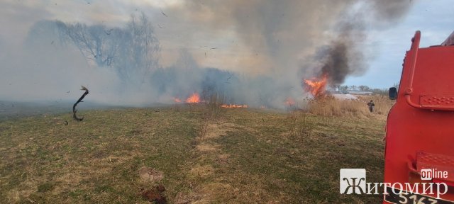 У Житомирському районі рятувальники 9 разів виїжджали гасити займання сухостою. ФОТО У Житомирському районі рятувальники 9 разів виїжджали гасити займання сухостою. ФОТО