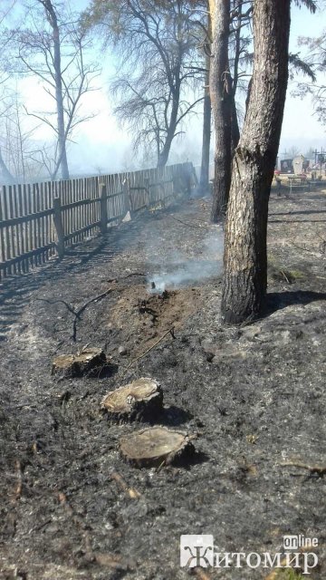 Малинські рятувальники розповіли про пожежі у районі. ФОТО Малинські рятувальники розповіли про пожежі у районі. ФОТО