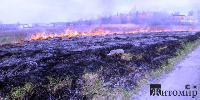 У Житомирському районі горіла суха трава: селяни побачили густий дім та сповістили рятувальників. ФОТО У Житомирському районі горіла суха трава: селяни побачили густий дім та сповістили рятувальників. ФОТО