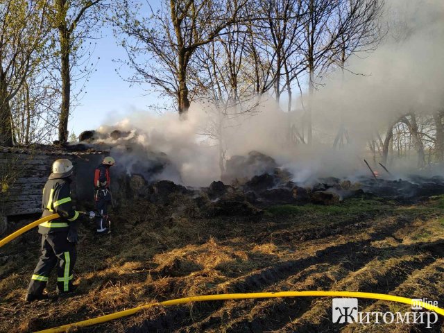У Бердичівському районі рятувальники ліквідували пожежу дерев’яного сіннику. ФОТО