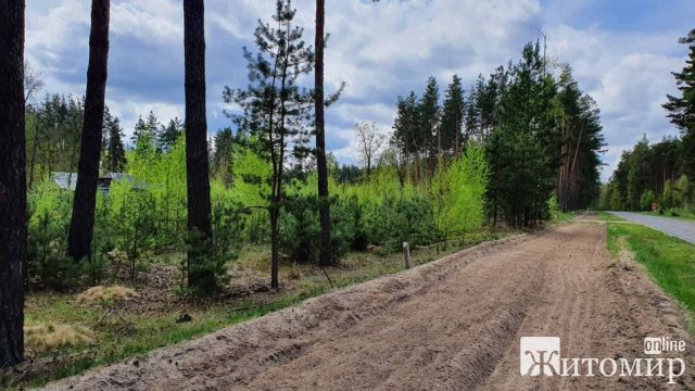 На Житомирщині лісівники відмежували лісові масиви від населених пунктів мінералізованими смугами. ФОТО