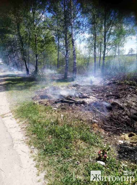 За добу виникло три загоряння сухої трави в Житомирській області. ФОТО За добу виникло три загоряння сухої трави в Житомирській області. ФОТО