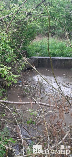 У Бердичеві рятувальники відкачували воду, а в Житомирі прибирали дерево, яке впало на дорогу. ФОТО