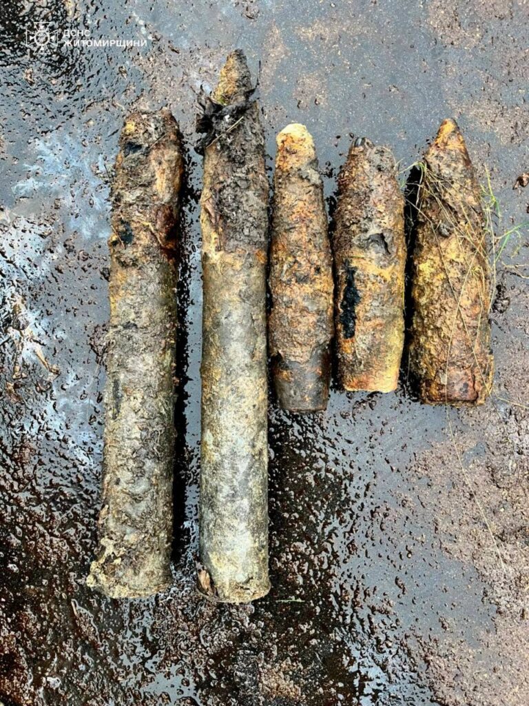 У селищі Черняхів Житомирського району виявили п’ять артилерійських снарядів часів Другої світової війни - Події. Джерело: Zhitomir-OnLine У селищі Черняхів Житомирського району виявили п’ять артилерійських снарядів часів Другої світової війни - фото №1