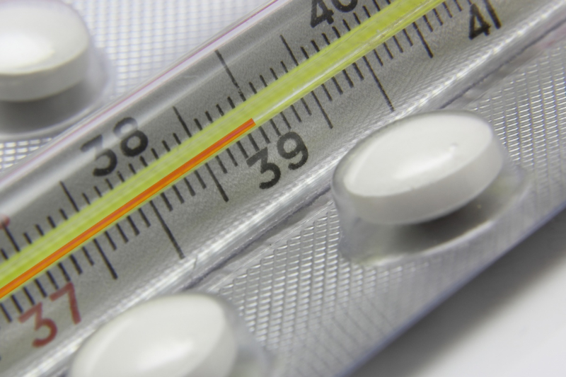 5eceb65326dcc931786299