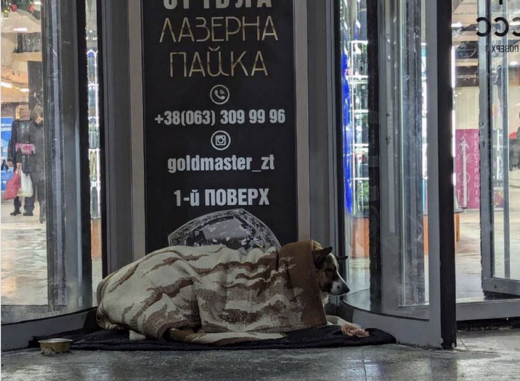Знімок екрана 2026-01-18 о 12.30.05