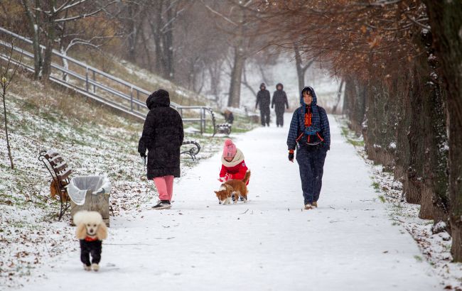 _zima_snig_ditina_zhinka_sobaka_pes_vigul_sobak__gettyimages_2251897040_817ff6aa1ec6e1a1bb22d341566fd5e9_650x410