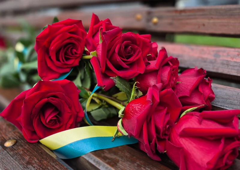 629283520_1198417835796755_4441375807887226171_n