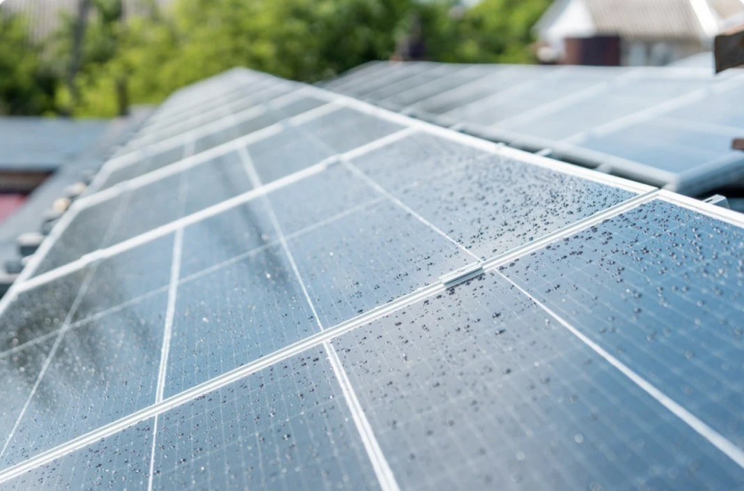 Знімок екрана 2026-02-25 о 11.05.42