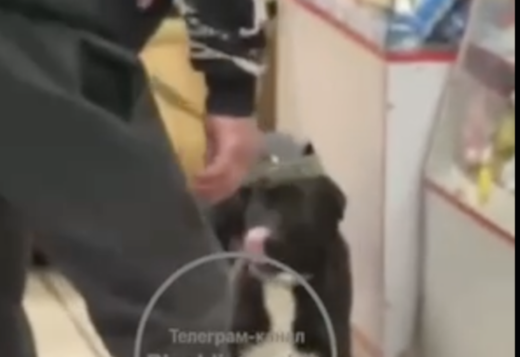 Знімок екрана 2026-03-13 о 11.52.02