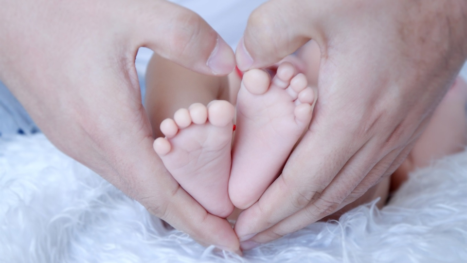 o_1dqlvsho71sqkb5i13nq1unu8le1k