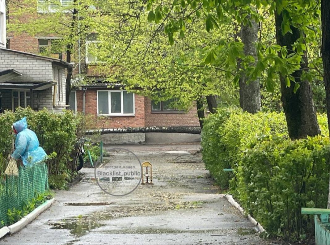 Повалене вітром дерево (береза) лежить поперек асфальтованої доріжки біля кількаповерхового цегляного будинку, поруч стоїть людина в дощовику