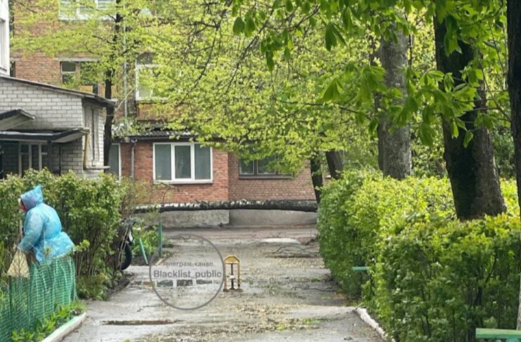 Повалене вітром дерево (береза) лежить поперек асфальтованої доріжки біля кількаповерхового цегляного будинку, поруч стоїть людина в дощовику