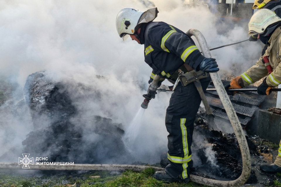 665997767_1273837414880383_6546847745896341812_n