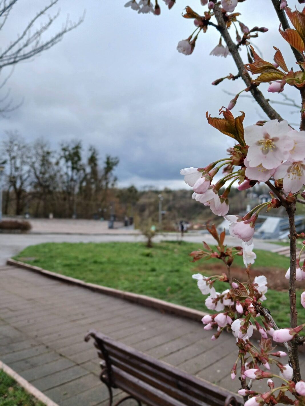 670547968_916577581183371_5681534105711253728_n