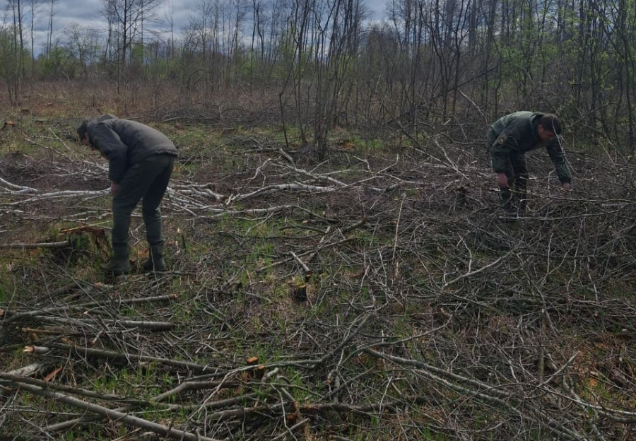 671600798_1596528472473689_793947327578803771_n