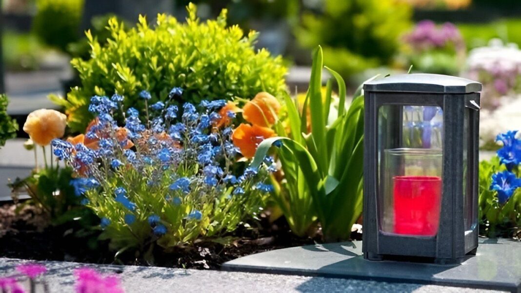 Провідна неділя у Житомирі