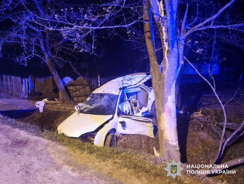 img_03870a0c638f448beeada265ae5250c3