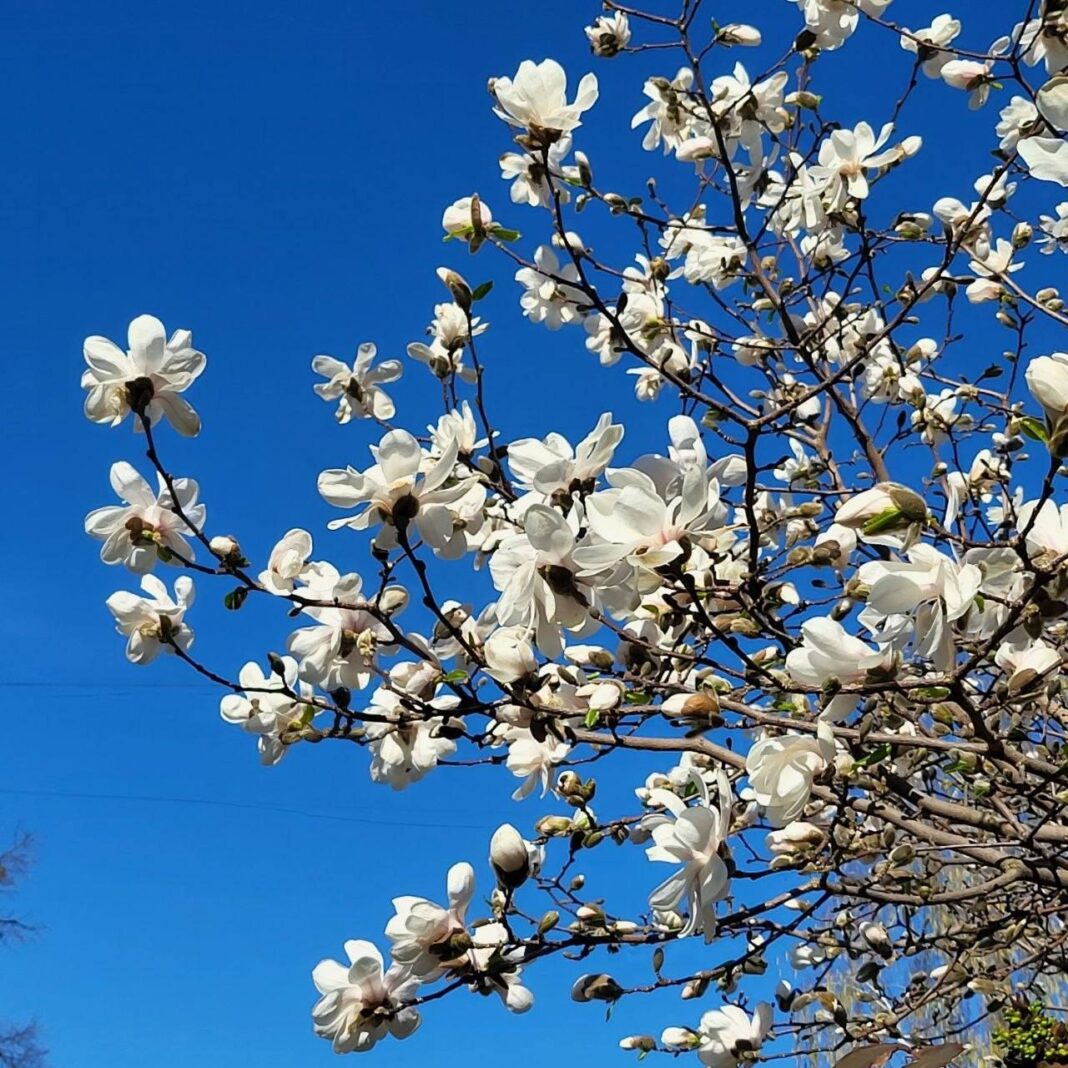 photo_2026-04-06 15.12.07