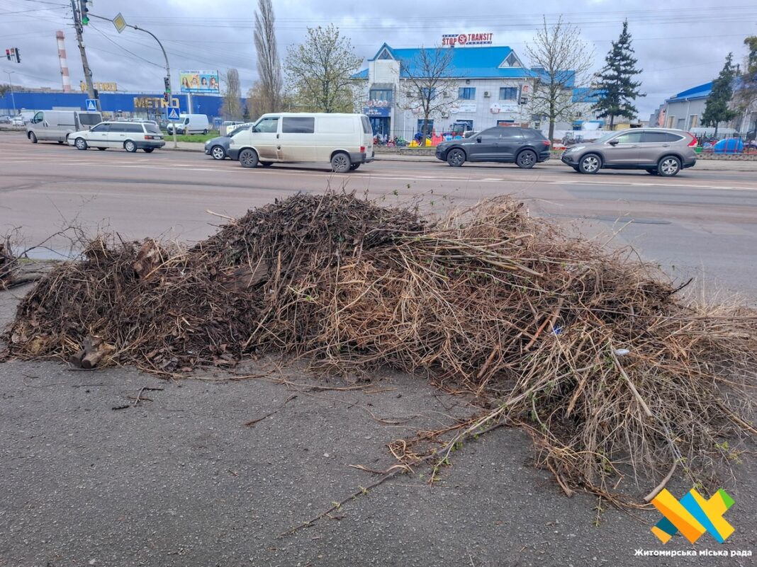 photo_2026-04-08 20.54.05