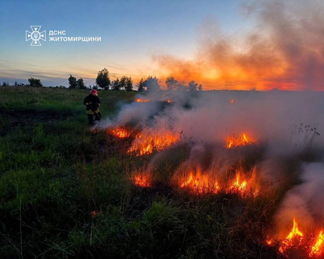 Вогнеборець гасить пожежу сухої трави на відкритій території під час заходу сонця на Житомирщині