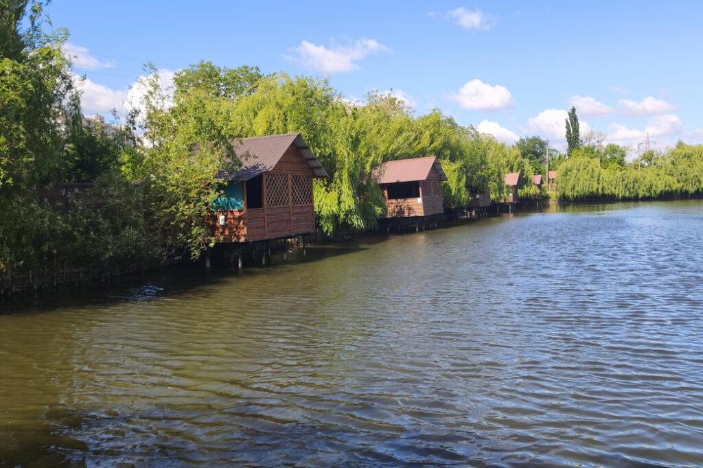 Брудна вода та сморід: екологи візьмуть проби з Крошенського ставка у Житомирі