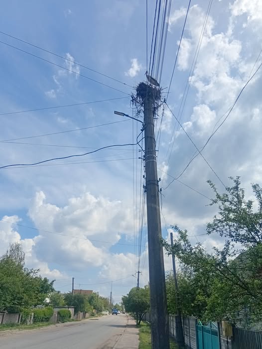 704166842_2230261211051257_5865594648685782795_n