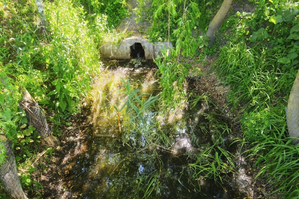 Брудна вода та сморід: екологи візьмуть проби з Крошенського ставка у Житомирі