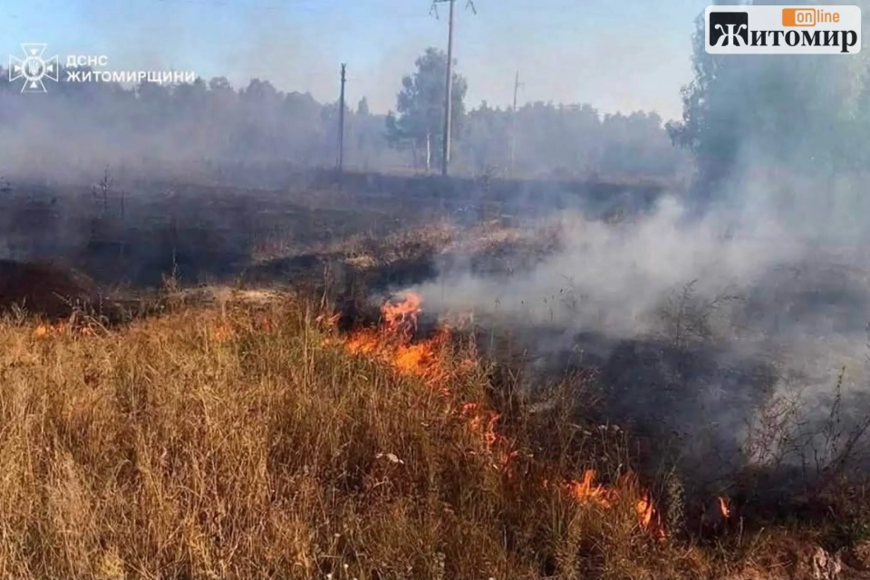 10 разів за останню добу рятувальники Житомирщини ліквідовували пожежі сухостої