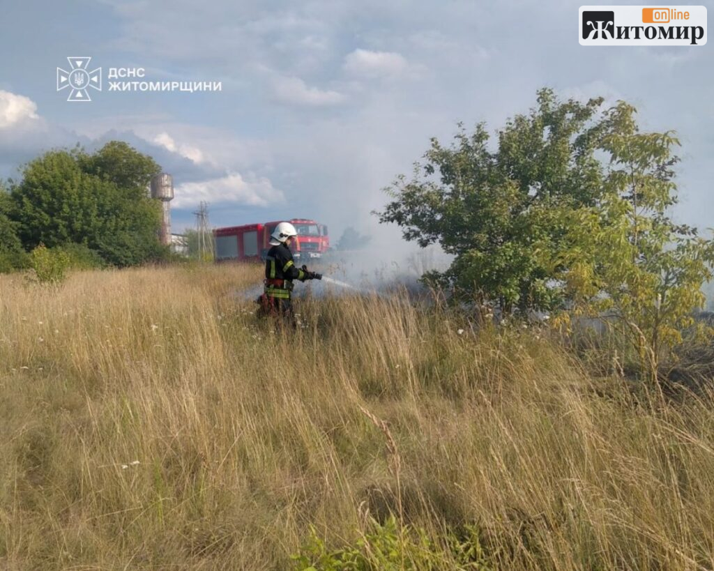 Поблизу Скоморохів рятувальники відстояли пшеничне поле від пожежі сухої трави