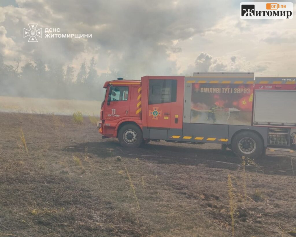 Поблизу Скоморохів рятувальники відстояли пшеничне поле від пожежі сухої трави - фото №1