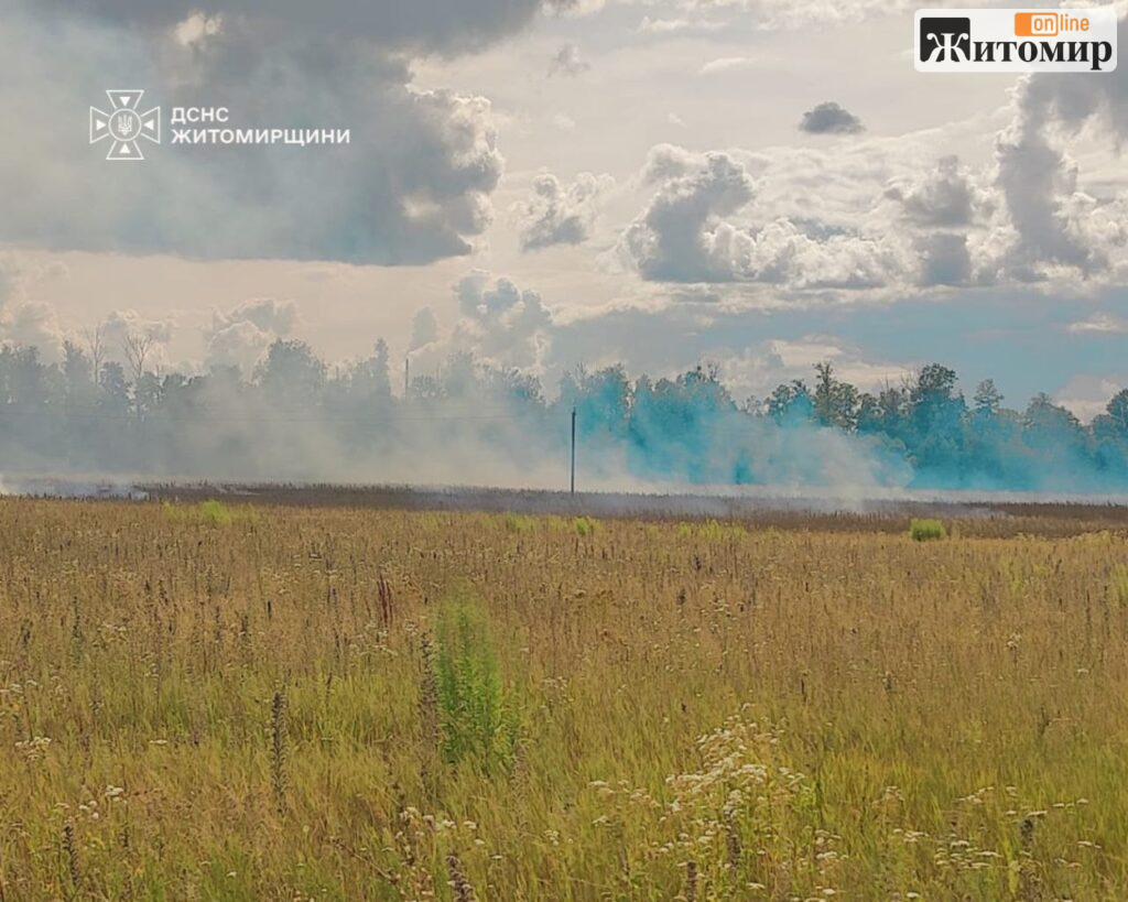 Поблизу Скоморохів рятувальники відстояли пшеничне поле від пожежі сухої трави - фото №2