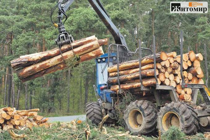 Зберігав незаконно зрубаний ліс: підприємець з Житомирщини перерахував 35 тис. грн на ЗСУ та чекає суду