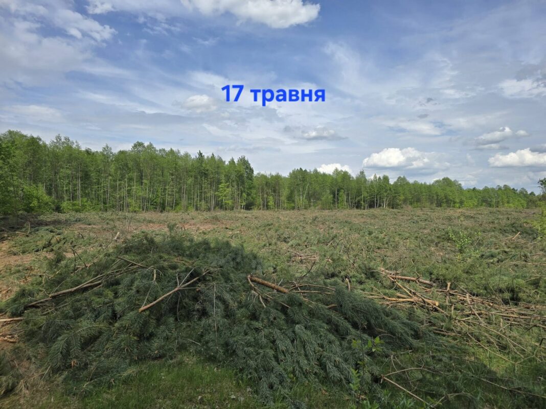 732654730_10229549723710842_6170782317978637527_n