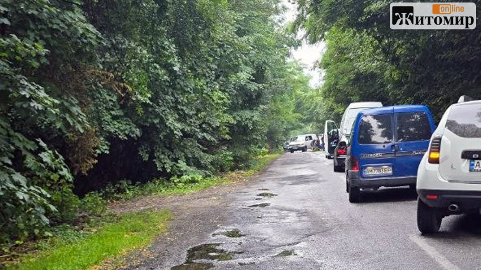 На трасі Баранівка – Звягель рух ускладнений через повалене дерево - Події. Джерело: Zhitomir-OnLine На трасі Баранівка – Звягель рух ускладнений через повалене дерево - фото №