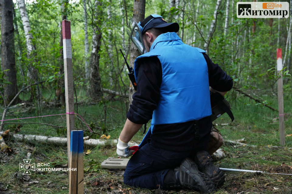 На Малинщині тривають роботи піротехніків: перевірено вже понад 14,7 тис. кв. м територій після атаки рф - фото №2