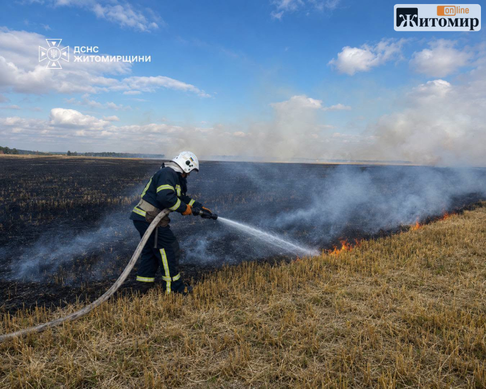 На Житомирщині знову горить сухостій: за добу — 11 пожеж, вигоріло понад 6 гектарів