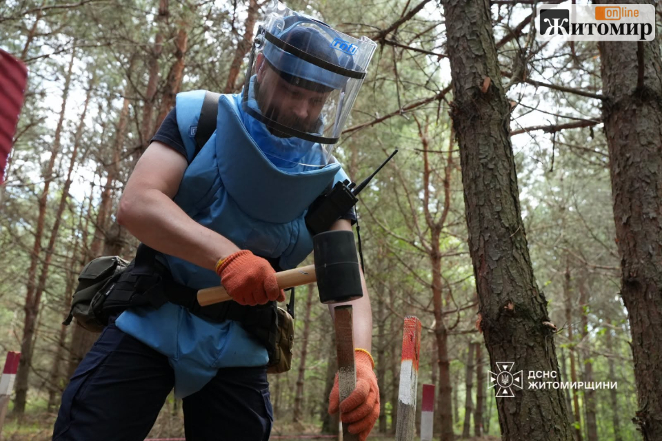 На Малинщині тривають роботи піротехніків: перевірено вже понад 14,7 тис. кв. м територій після атаки рф - фото №1