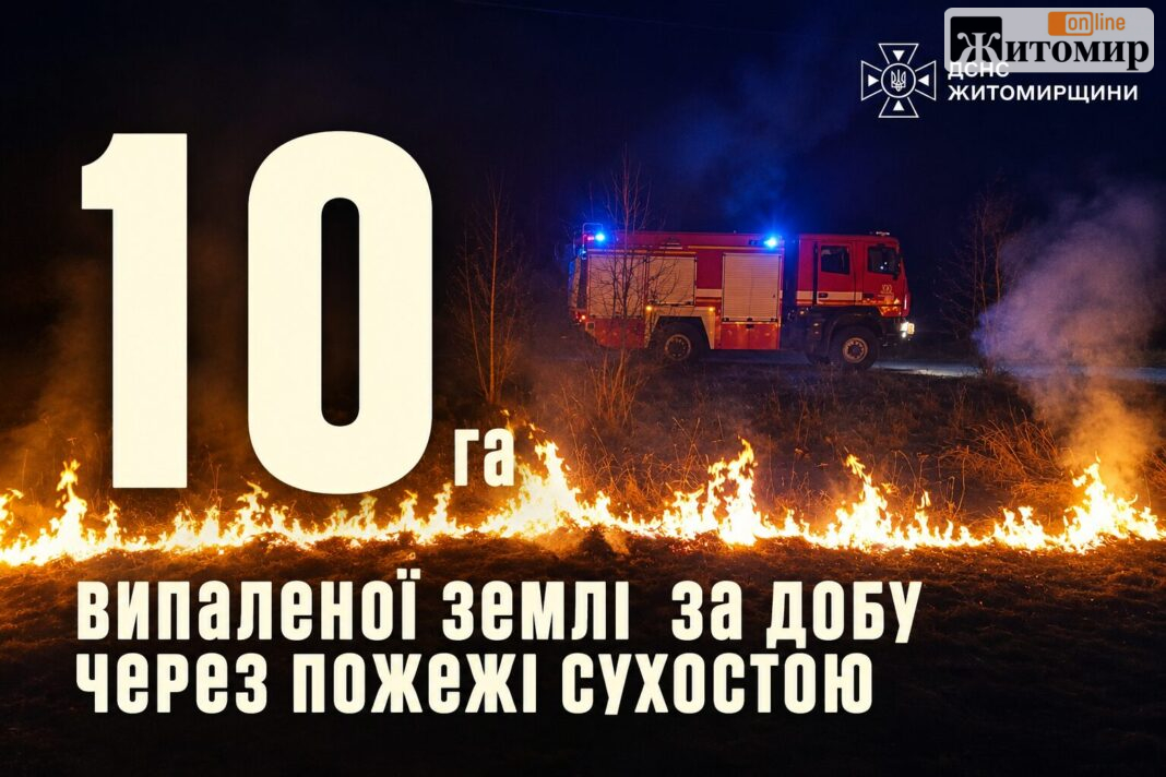 На Житомирщині зафіксували 20 пожеж сухої трави за добу: вигоріло понад 10 гектарів