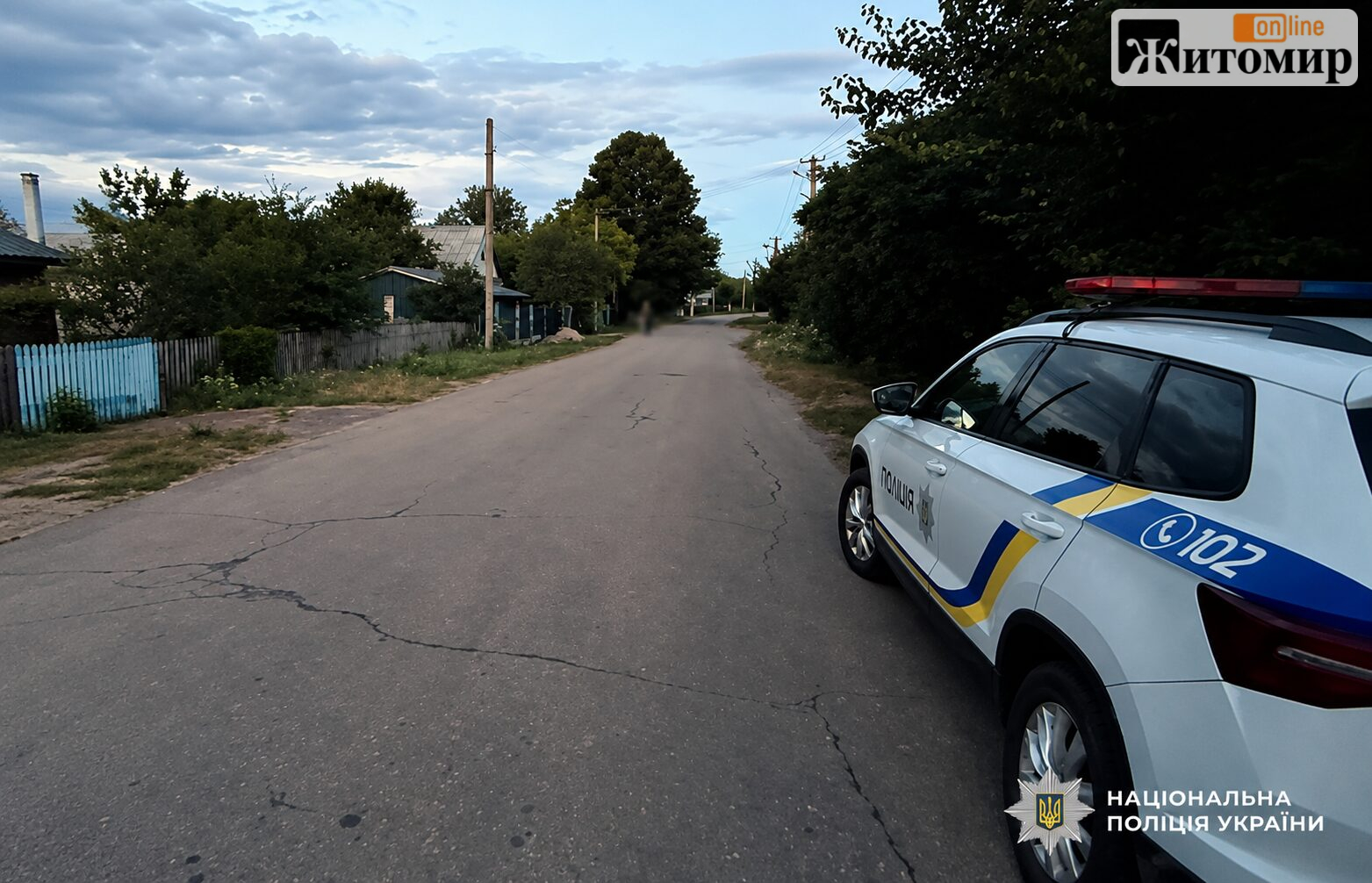 Побив батька знайомої та втік: у Черняхові затримали 29-річного підозрюваного