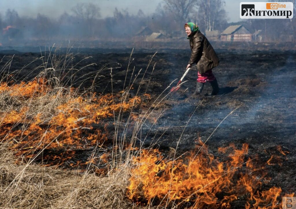На Житомирщині палять сухостій: куди дзвонити і що повідомити - Інформація. Джерело: Zhitomir-OnLine На Житомирщині палять сухостій: куди дзвонити і що повідомити - фото №1
