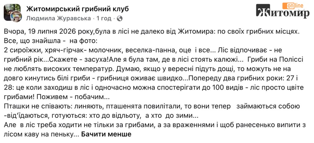 Спека стримує гриби під Житомиром — на білі чекають після дощів - Інформація. Джерело: Zhitomir-OnLine Спека стримує гриби під Житомиром — на білі чекають після дощів - фото №