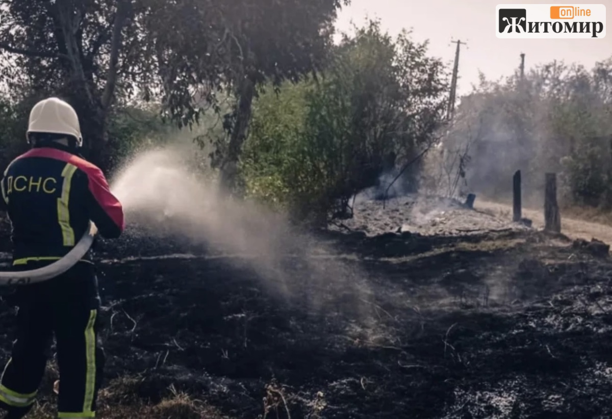 На Звягельщині під час пожежі сухої рослинності загинула 67-річна жінка