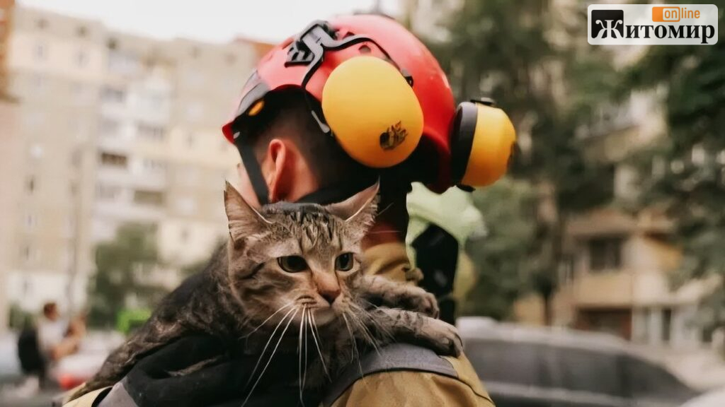 Жінка вижила у ванній під бетонними плитами: її врятували рятувальники з Житомира - фото №4