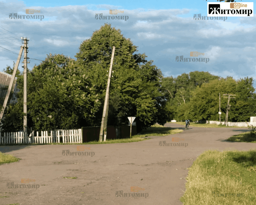 golovky_1122x898_compressed